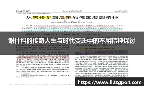 谢什科的传奇人生与时代变迁中的不屈精神探讨
