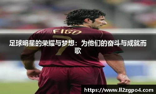 足球明星的荣耀与梦想：为他们的奋斗与成就而歌