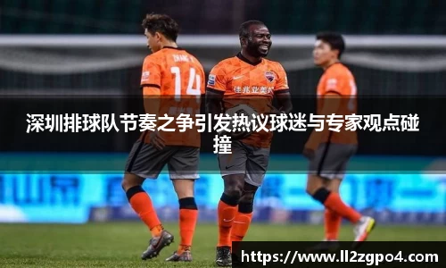 深圳排球队节奏之争引发热议球迷与专家观点碰撞